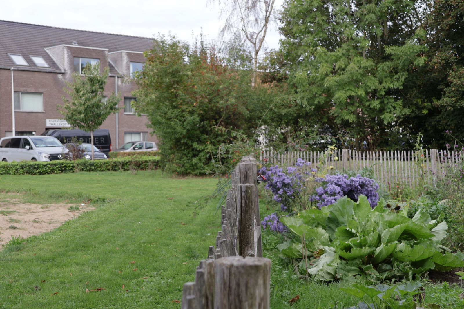 Wallekot gezien vanuit het park